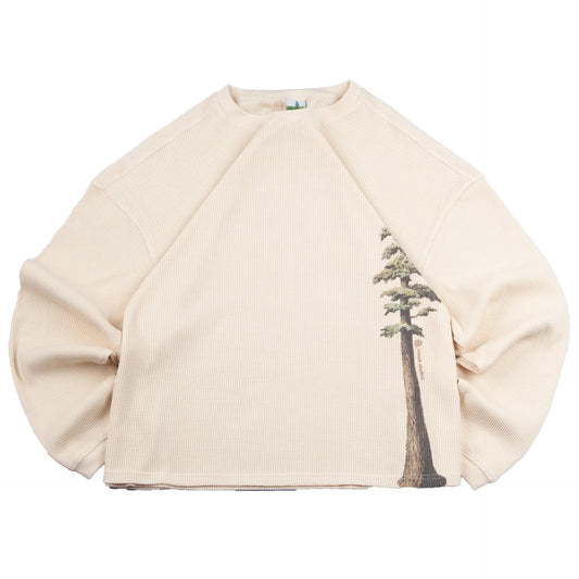 Pine Tree Long Sleeve